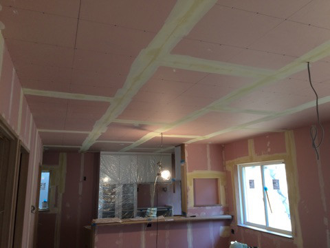 {E8CCACEB-4510-4418-AEFE-1F1800C578C4}