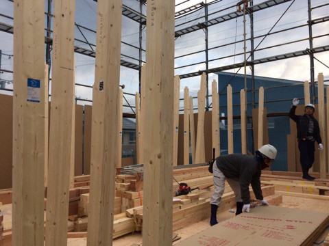 {4077830A-F568-4EDD-B547-33BE6948B62B}