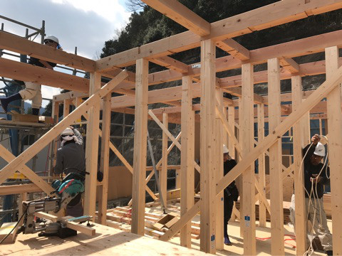 {A076F62E-8E06-4339-8818-B65AE7B78117}