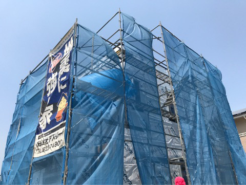 {2456AE36-BA21-4BE1-A035-101DEEAAF5CF}