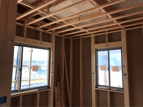 {E2555159-EFF6-4E06-967A-9955DDB667D5}