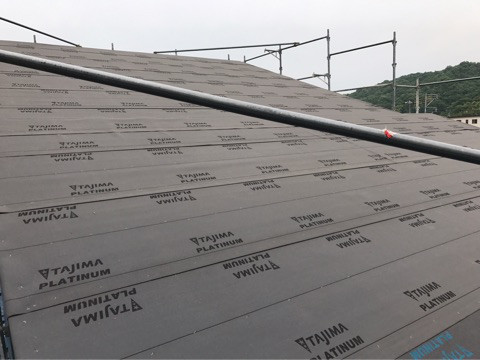 {9D025CB9-4FA3-497E-AE9F-2775AFC1D56B}