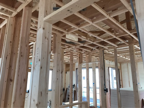 {4337878A-0833-4AB7-ACC1-918192765A47}