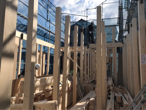 {7B315E6B-769C-479C-85C6-502D899EC273}