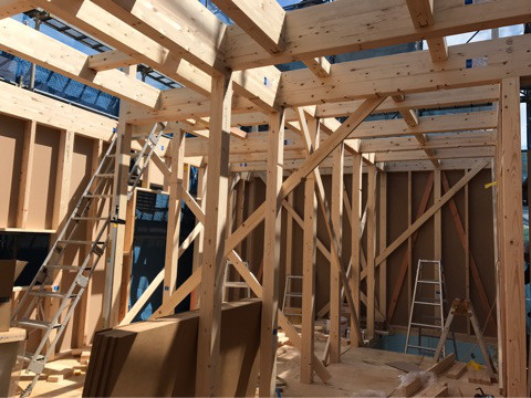 {493BEC9B-F296-410A-89C0-28C9F81FF588}