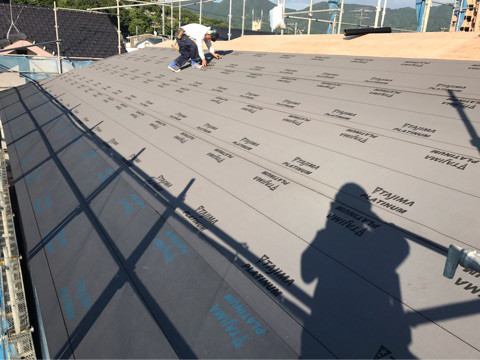 {B5BD7094-1505-4A88-898B-27319279AD60}