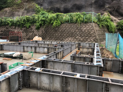 {D0384029-103C-4E87-873F-A4520888002D}