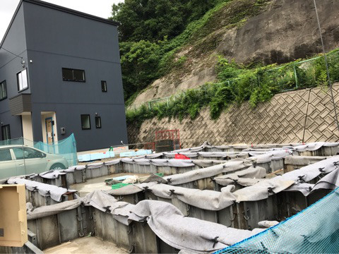 {56BD7C2F-0CF8-4230-A437-2EE91D9B214C}