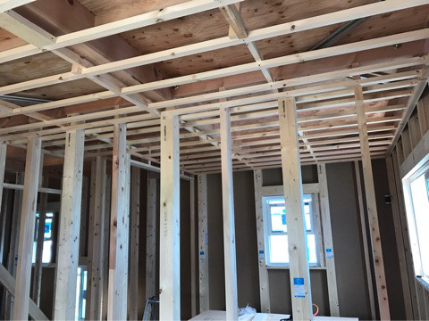 {17260F9B-F3B9-4EDA-AC46-FD02E3560F4E}