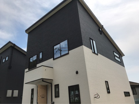 {75D77418-60F0-4D6E-8A1D-1EC21D38E850}