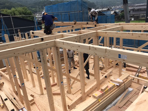 {604F1354-F0A8-47C2-A392-EE2980243A47}