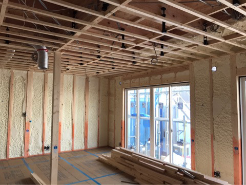 {D980C691-0078-42AA-AF9A-2A9AB8BD3035}