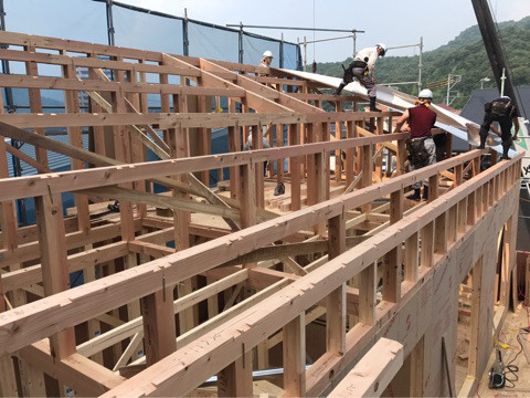 {C5295184-1F1B-4E0D-A73F-DBF4619749FF}