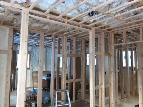 {C8B1B7A7-CFED-4A72-9131-DF6009FFB4E4}