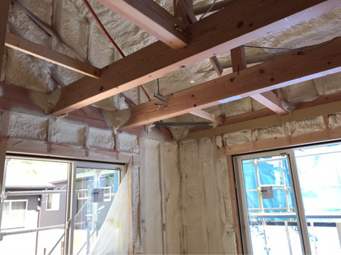 {8CF4A257-6009-41AB-9ED8-045EAC461A71}