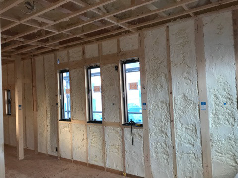 {E9672EDF-954B-4D89-A272-899C51FDD2F5}