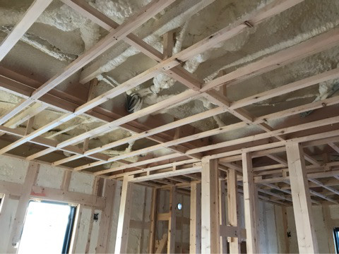 {2C5EC1FB-549E-4696-948D-9C46DAAC875F}