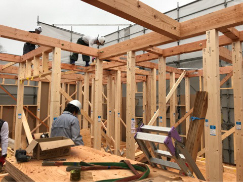 {87941833-B89F-470A-B921-7CB7531EB4D2}