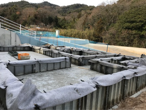 {91F6FAE9-5D64-4CDE-A462-2579CE9B4590}