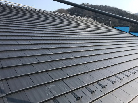 {D31ADD39-8FE0-46BF-9CA1-1C90FD393E95}