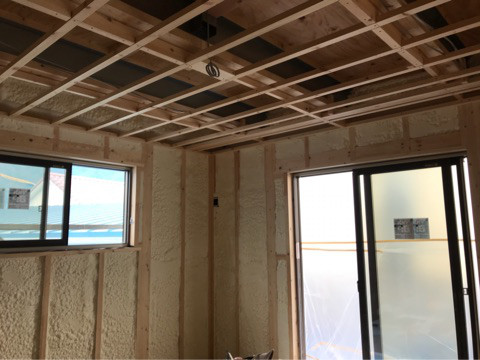 {559E7DA1-2F3B-483E-B469-DA94F52D1890}