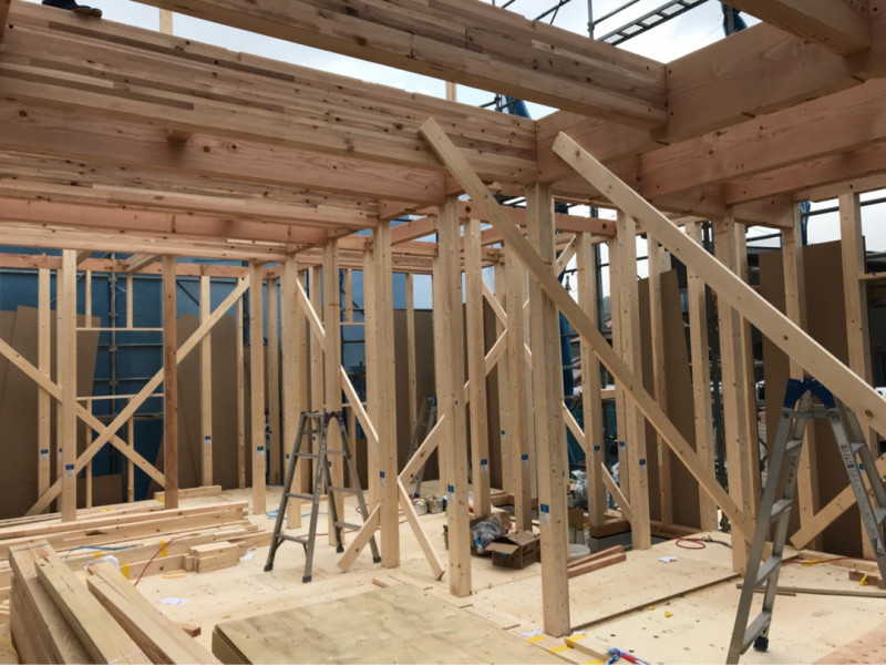 {20414BE3-2755-496D-B48E-6961BB2B2D56}